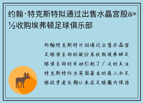 约翰·特克斯特拟通过出售水晶宫股份收购埃弗顿足球俱乐部 约翰·特克斯特拟通过出售水晶宫股份收购埃弗顿足球俱乐部